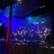 Regina Hospitals Four Seasons Gala - Winter Theme