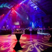 Cenovus Christmas 2013