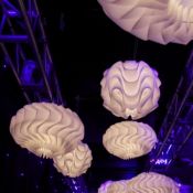 Alberta Business Awards 2013